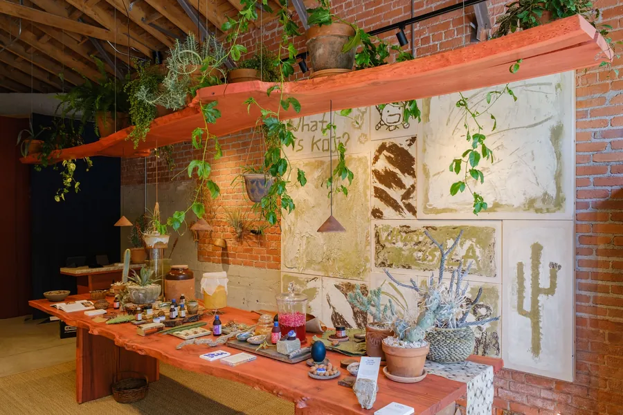 Mesa larga de olmo teñido de rojo con productos y plantas de Noma Projects en la tienda de Silver Lake