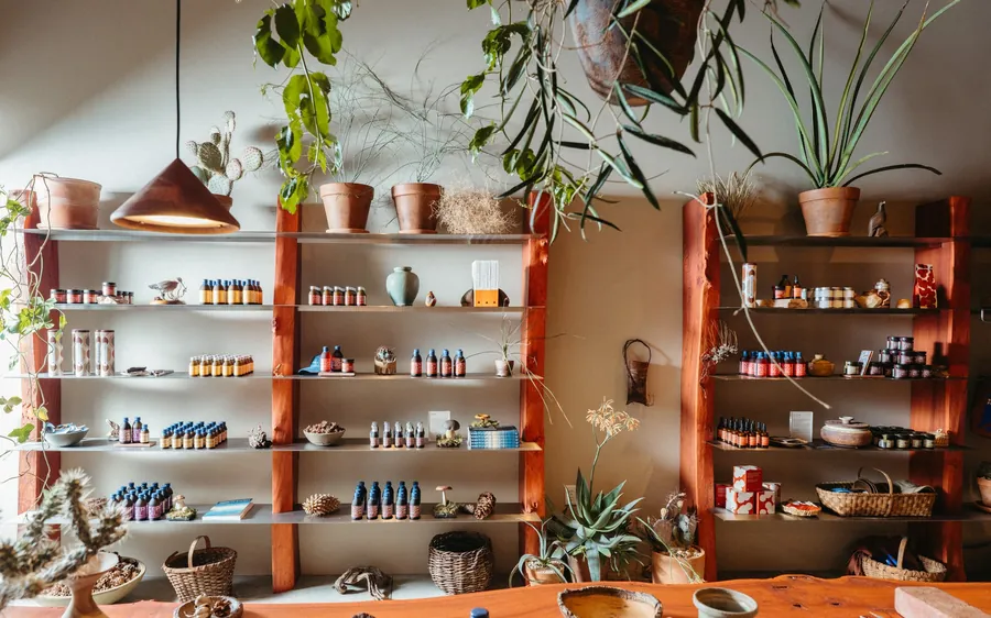 Estanterías de olmo teñido de rojo con botellas, tarros y plantas de Noma Projects en la tienda de Silver Lake, Los Ángeles
